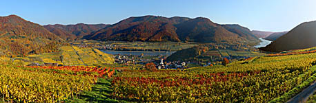 Weinberge Spitz - click to enlarge (559kB)